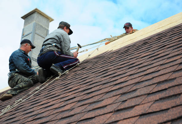Quick and Trustworthy Emergency Roof Repair Services in Ogden, IA