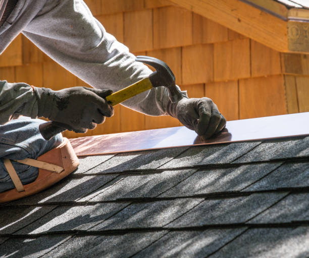 Professional Roofing Contractor in Ogden, IA